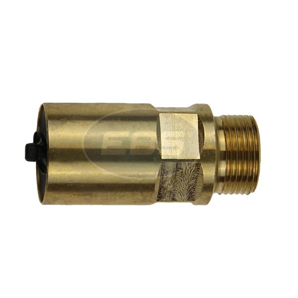 SAFETY VALVE ( 4346120040 )