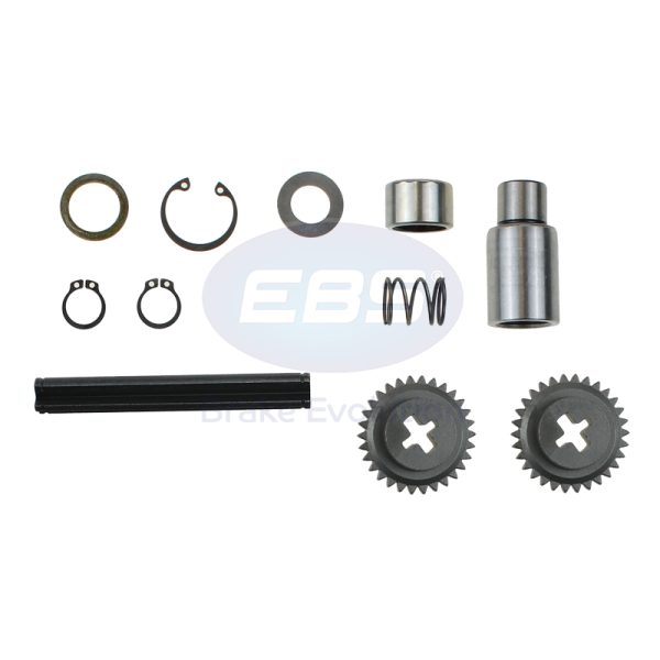 REPAIR KIT CALIPER ( LEVER GEAR &  BEARING )