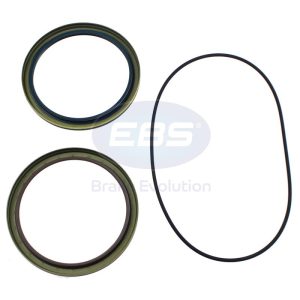 OILSEALS