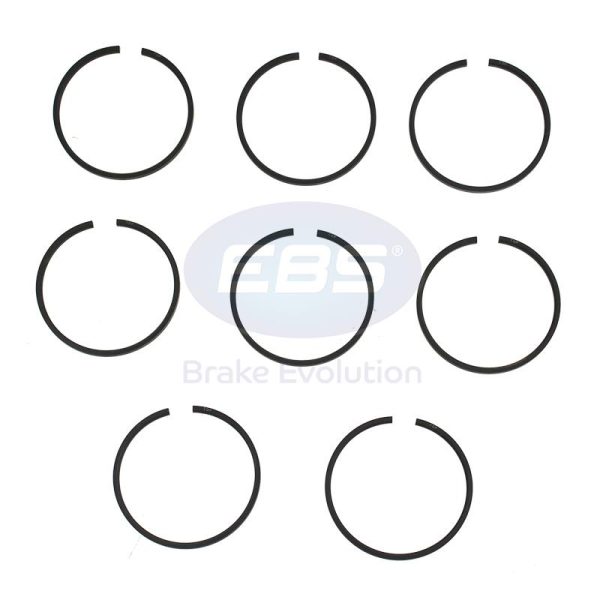 REPAIR KIT RINGS