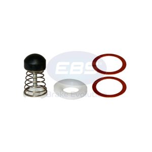 REPAIR KIT SINGLE CHECK VALVE