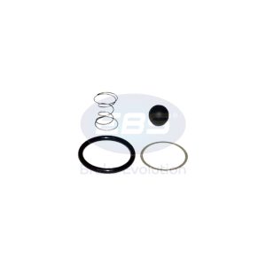 REPAIR KIT AIR DRYER (CHECK VALVE AD2)