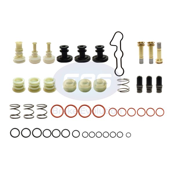 REPAIR KIT ECAS VALVES