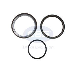 OIL SEALS (FPM)