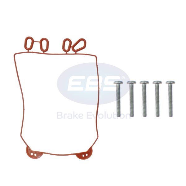 REPAIR KIT (ECU GASKET & SCREWS)