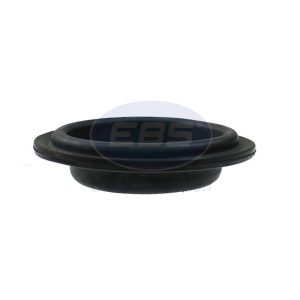 TY20 ROLLING DIAPHRAGM